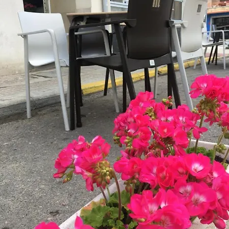 Delphos 2* موراليخا